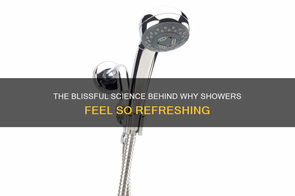 why does it feel so good to take a shower