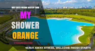 Why Miami's Water Turns Showers Orange: Causes and Solutions
