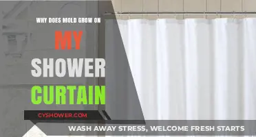 Why Mold Thrives on Shower Curtains: Causes and Prevention Tips