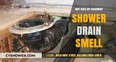 Why Your Basement Shower Drain Smells: Causes and Solutions