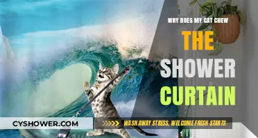 Why Cats Chew Shower Curtains: Understanding Feline Behavior and Solutions