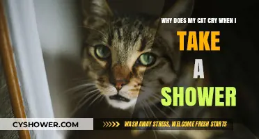 Why Does My Cat Cry When I Take a Shower?