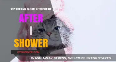Why Cats Show Extra Affection Post-Shower: Unraveling the Mystery