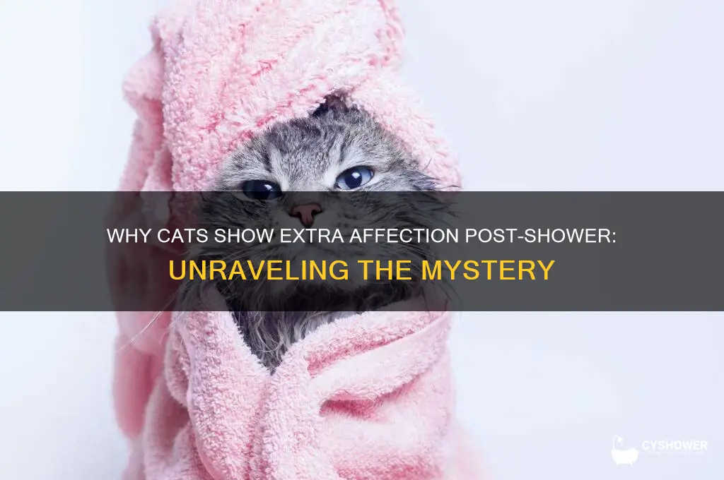 why does my cat get affectionate after i shower