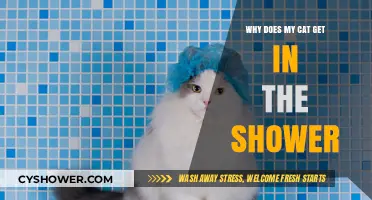 Why Cats Love Showers: Uncovering Your Feline's Bath Time Fascination