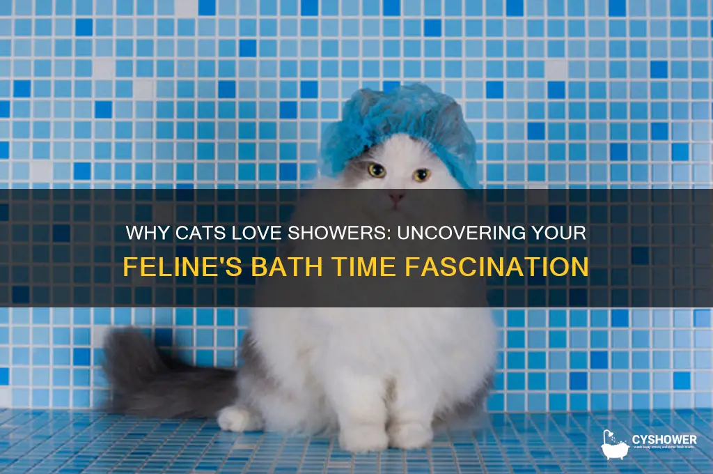 why does my cat get in the shower