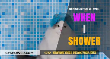Why Cats Dislike Showers: Understanding Your Feline's Shower Anxiety