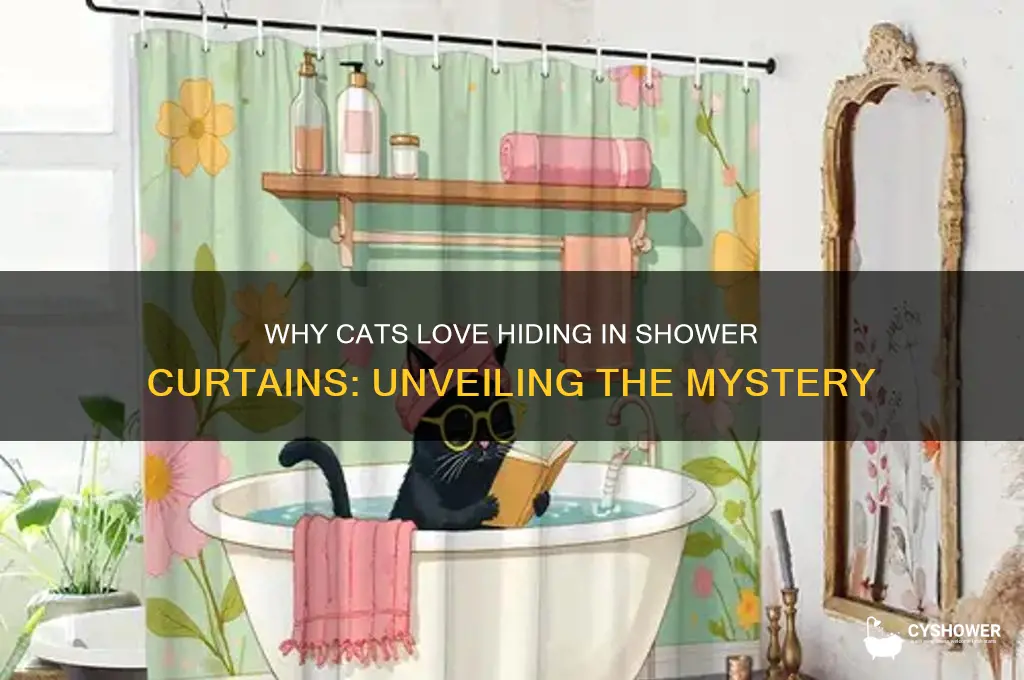why does my cat hide in the shower curtain