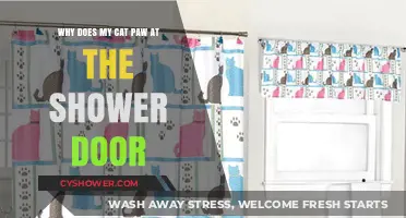Why Cats Paw at Shower Doors: Understanding Feline Curiosity and Behavior