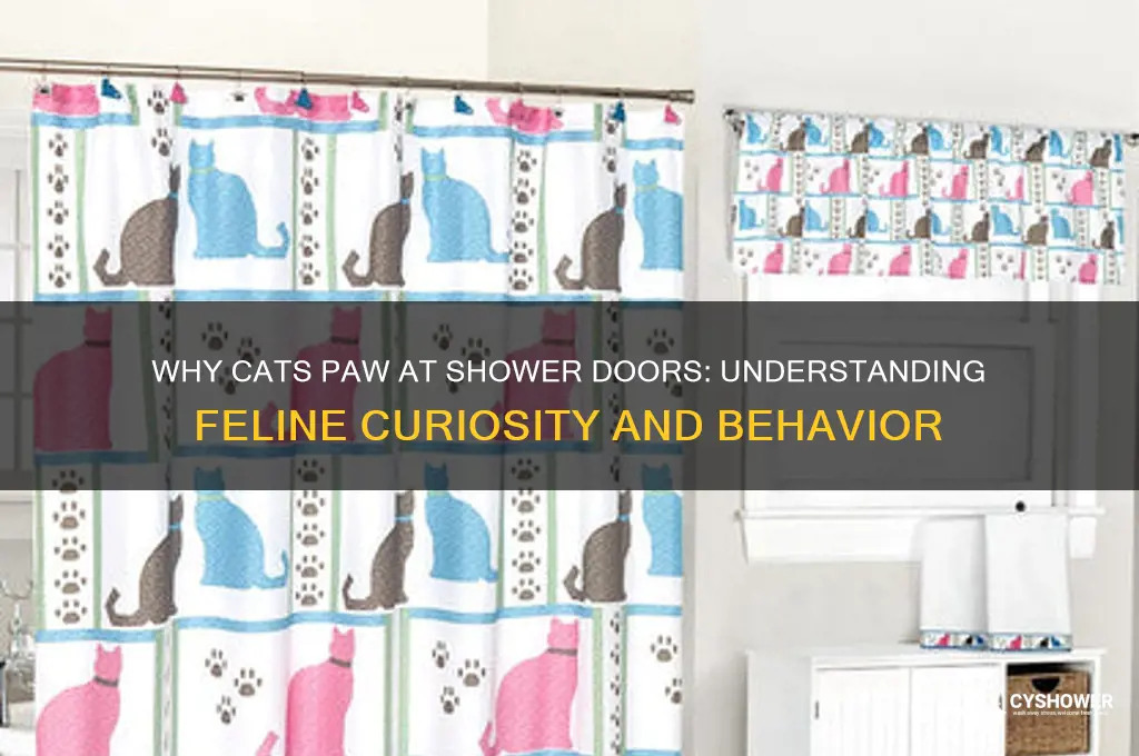why does my cat paw at the shower door