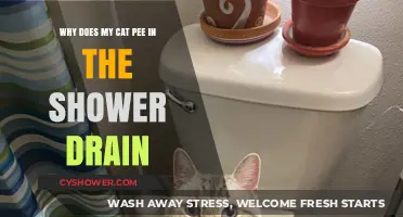 Why Cats Pee in Shower Drains: Uncovering Feline Behavior