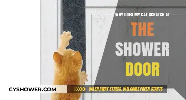 Why Cats Scratch Shower Doors: Understanding Feline Curiosity and Behavior