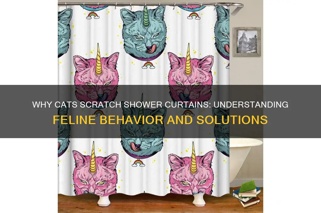 why does my cat scratch the shower curtain