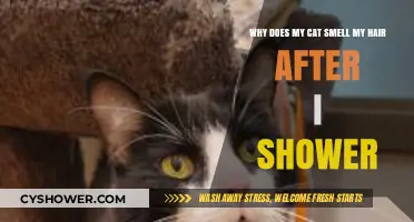 Why Cats Sniff Your Hair Post-Shower: Unraveling Feline Curiosity