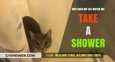 Why Cats Watch You Shower: Curiosity, Comfort, or Instinct?
