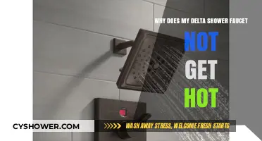 Troubleshooting Delta Shower Faucet: Why No Hot Water?