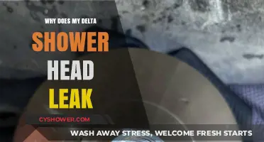 Why Does My Delta Shower Head Leak? Troubleshooting Tips