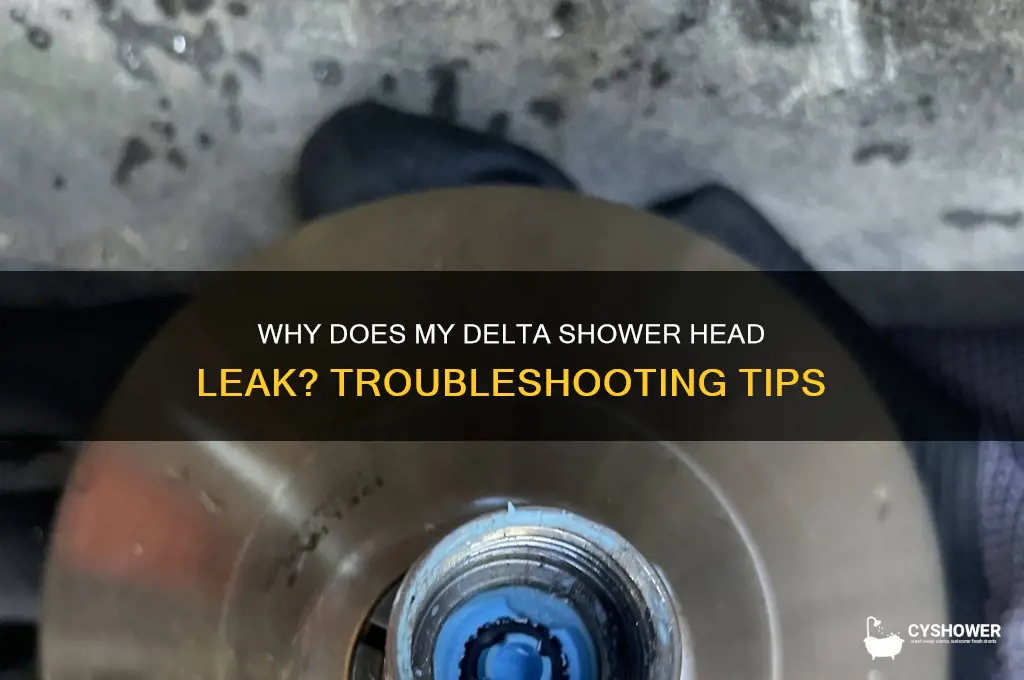 why does my delta shower head leak