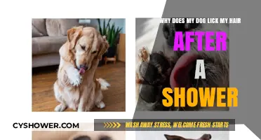 Why Dogs Lick Your Hair Post-Shower: Uncovering the Canine Behavior