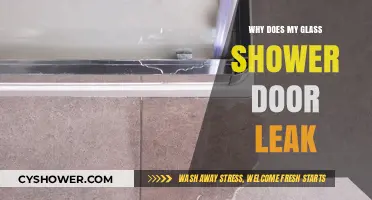 Why Does My Glass Shower Door Leak? Causes and Fixes