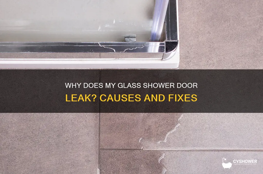 why does my glass shower door leak