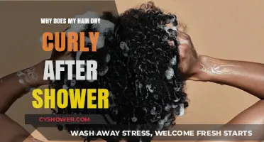 Why Hair Dries Curly Post-Shower: Unraveling the Natural Curl Mystery