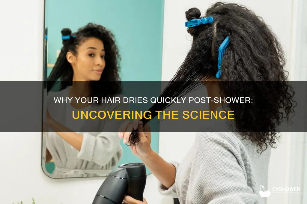 why does my hair dry so fast after a shower