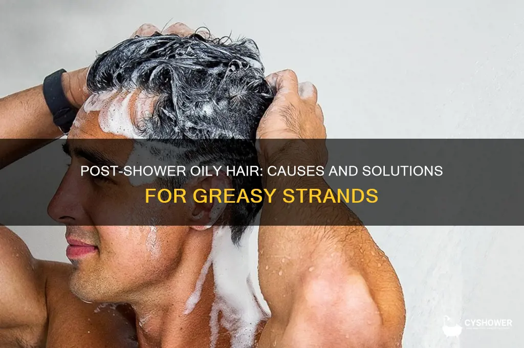 why does my hair feel oily after i shower