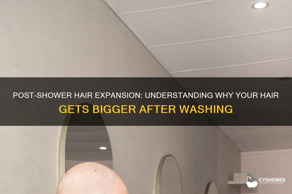 why does my hair get bigger after a shower
