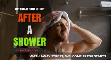 Post-Shower Hair Woes: Unraveling the Mystery of Dryness After Washing