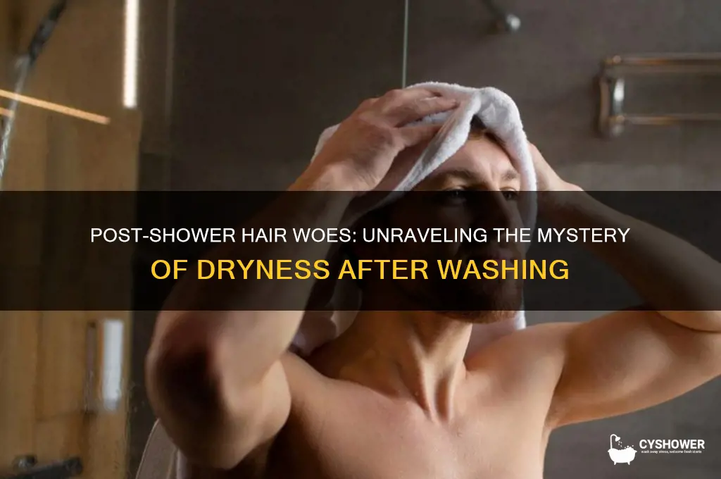 why does my hair get dry after a shower
