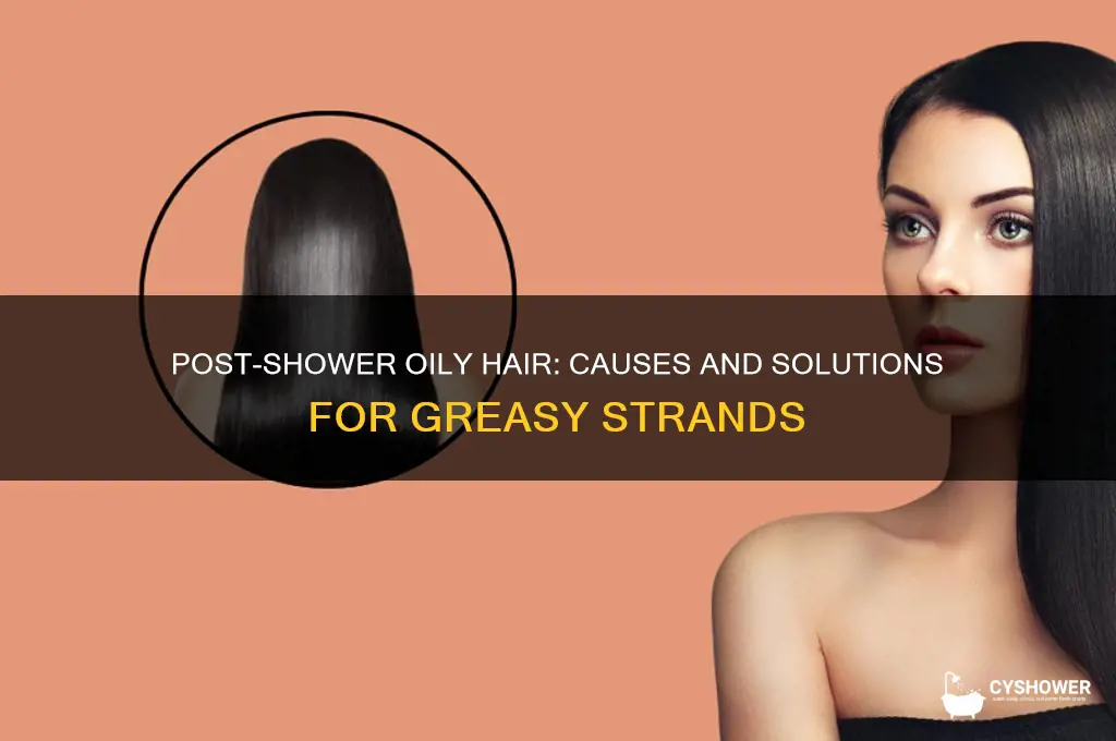 why does my hair get oily after i shower