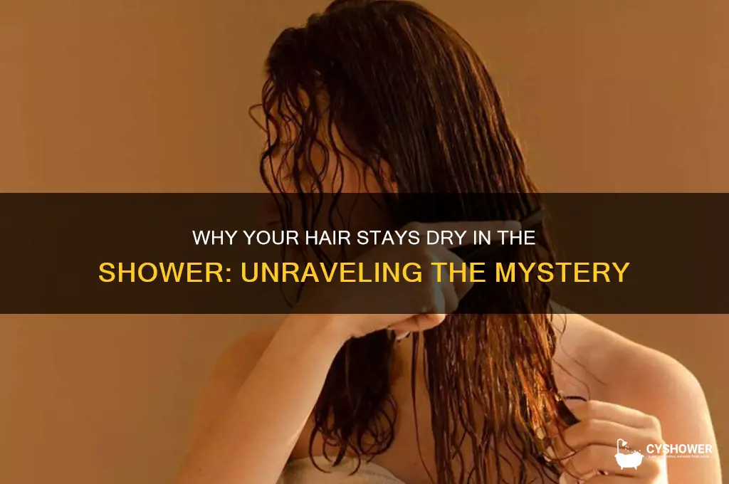 why does my hair not get wet in the shower