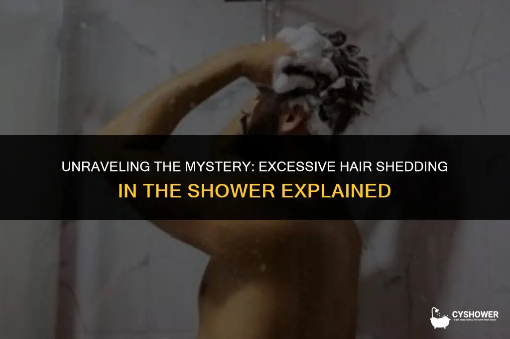 why does my hair shed so much in the shower