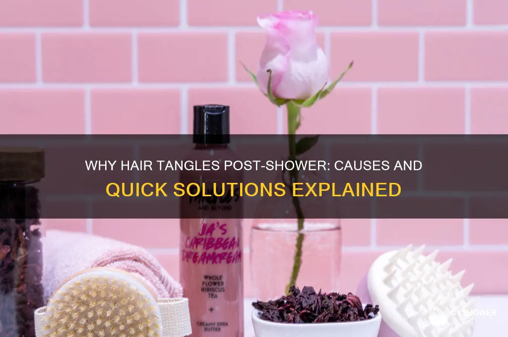 why does my hair tangle after shower