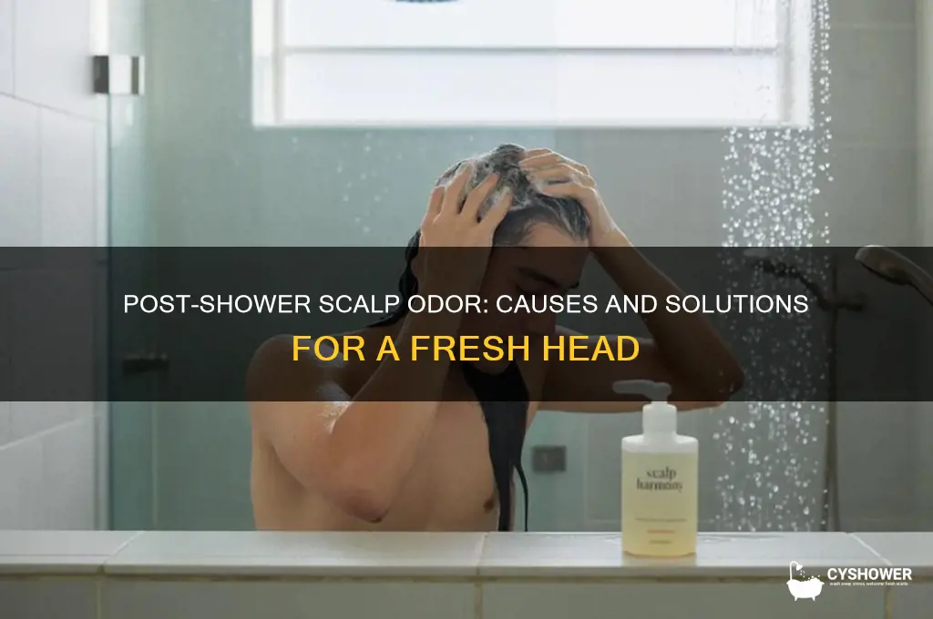 why does my head smell after a shower