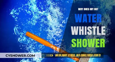 Why Does My Hot Water Whistle in the Shower? Explained
