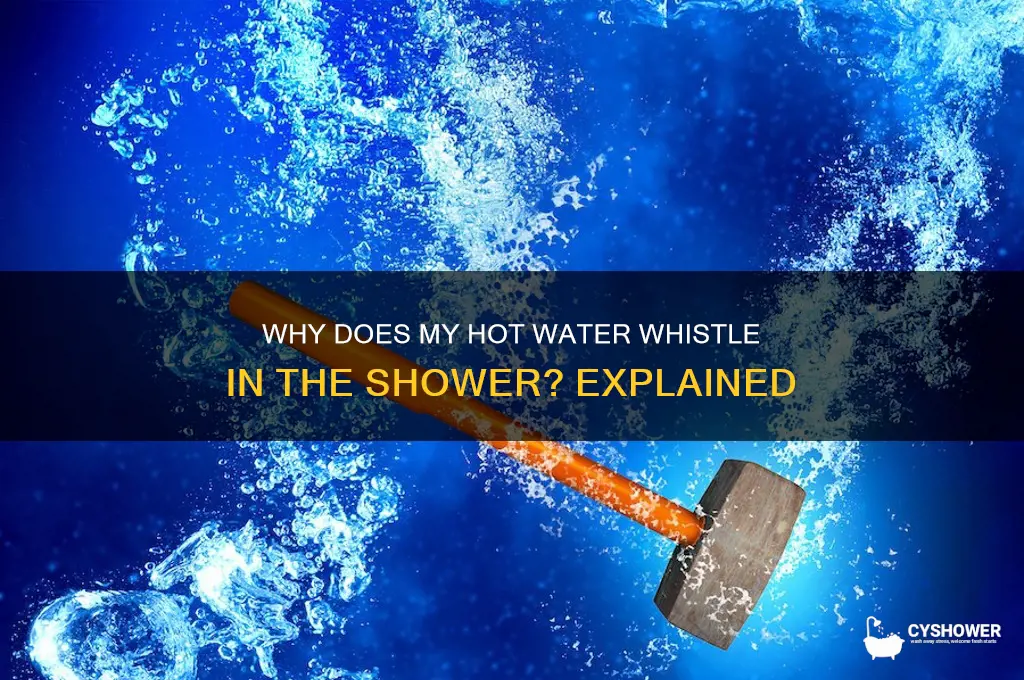 why does my hot water whistle shower