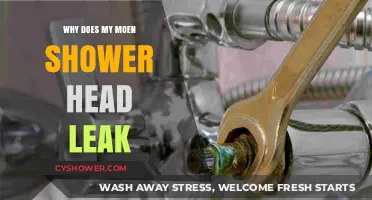 Why Does My Moen Shower Head Leak? Troubleshooting Tips