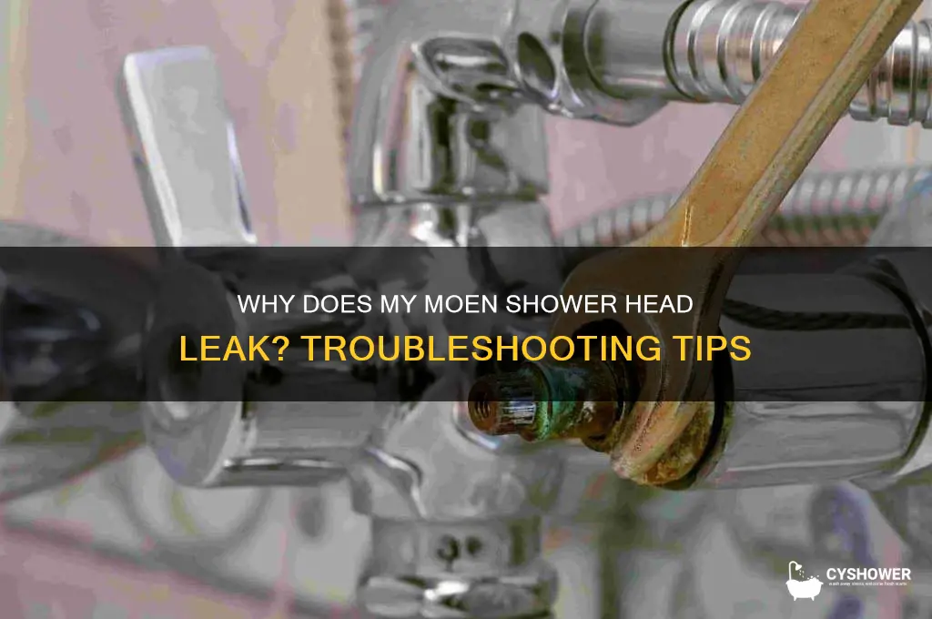 why does my moen shower head leak