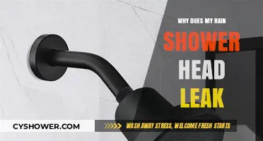 Why Does My Rain Shower Head Leak? Troubleshooting Tips