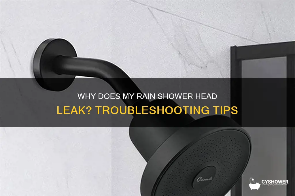 why does my rain shower head leak