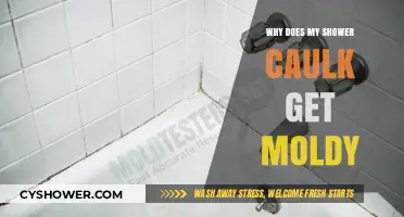 Preventing Moldy Shower Caulk: Causes, Solutions, and Maintenance Tips