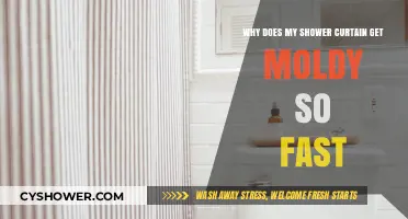 Preventing Mold: Quick Tips to Keep Your Shower Curtain Fresh