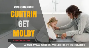 Preventing Mold: Understanding Why Shower Curtains Get Moldy and How to Stop It