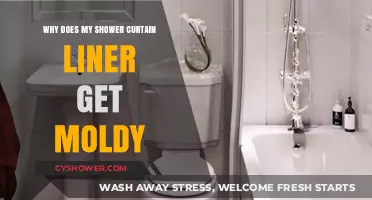 Preventing Mold: Understanding Why Shower Curtain Liners Get Moldy