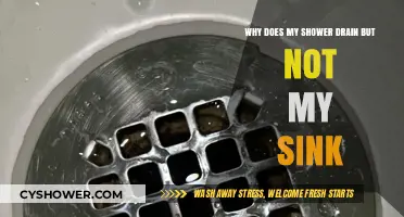 Shower Drains Fine, Sink Won't: Unclogging the Mystery