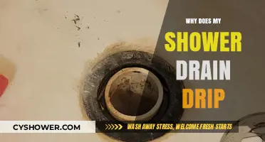 Why Does My Shower Drain Drip? Causes and Quick Fixes