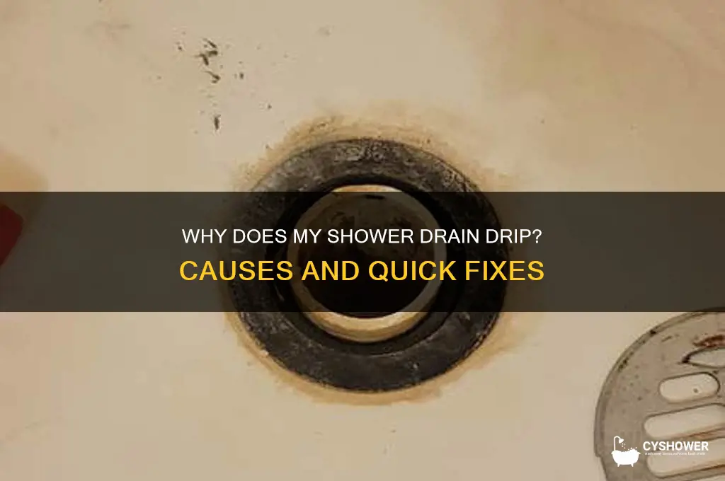 why does my shower drain drip