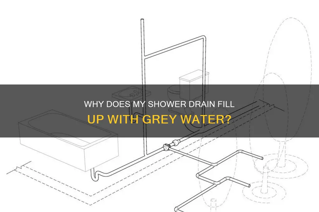 why does my shower drain fill up with grey